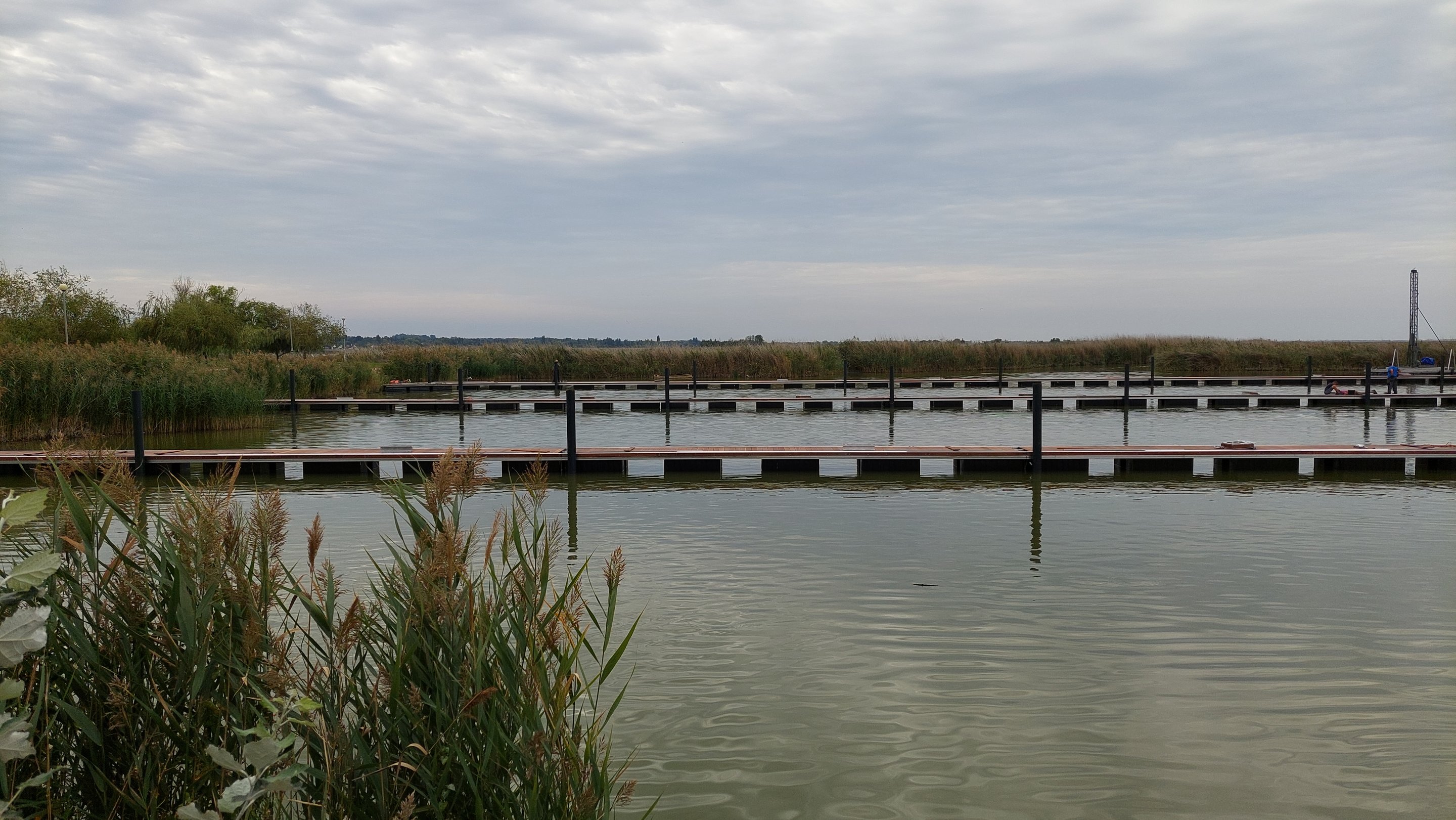 Tatzalom borítóképe