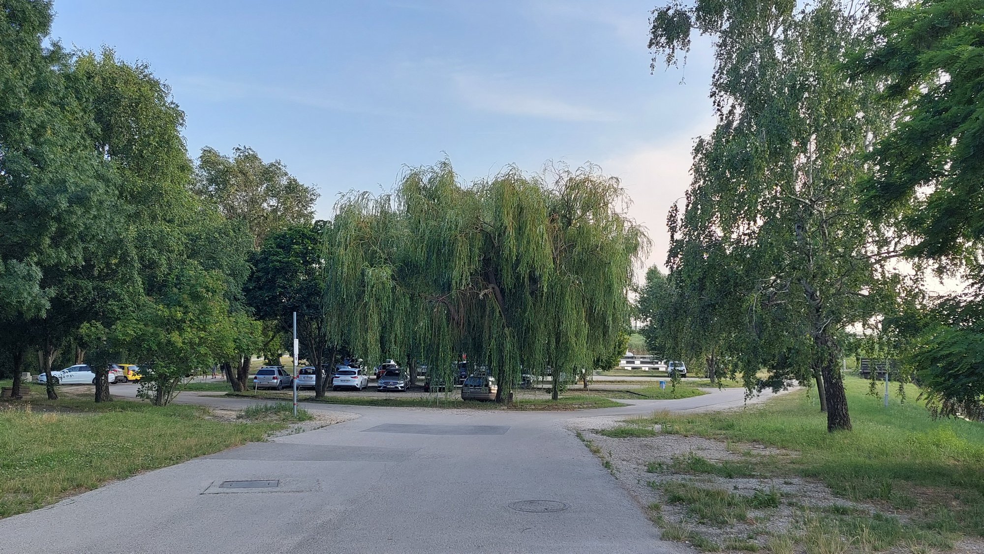 Tatzalom borítóképe