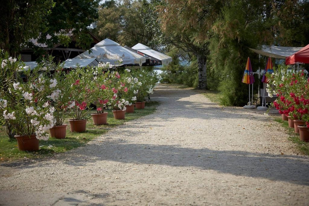 213713915_609703273277343_7528478984845028503_n-1024x683