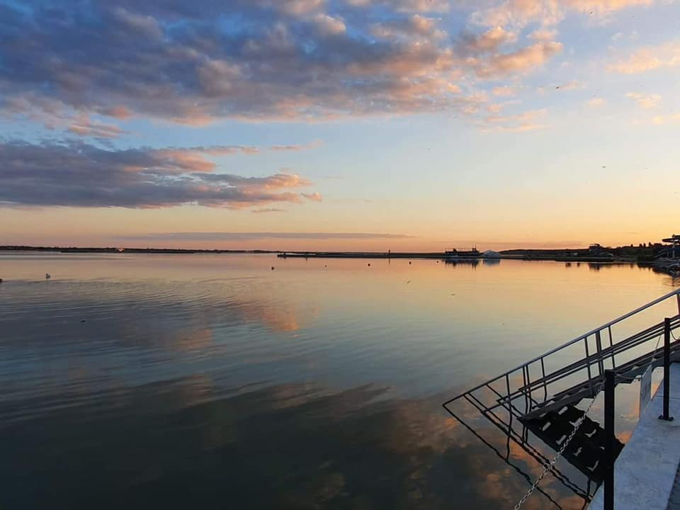 240112398_492794431946188_8333174769616286383_n