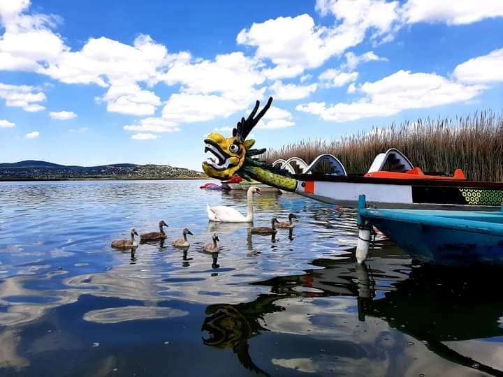 418965459_884804853647648_5145173524498607946_n