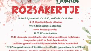 Tartalom borítóképe