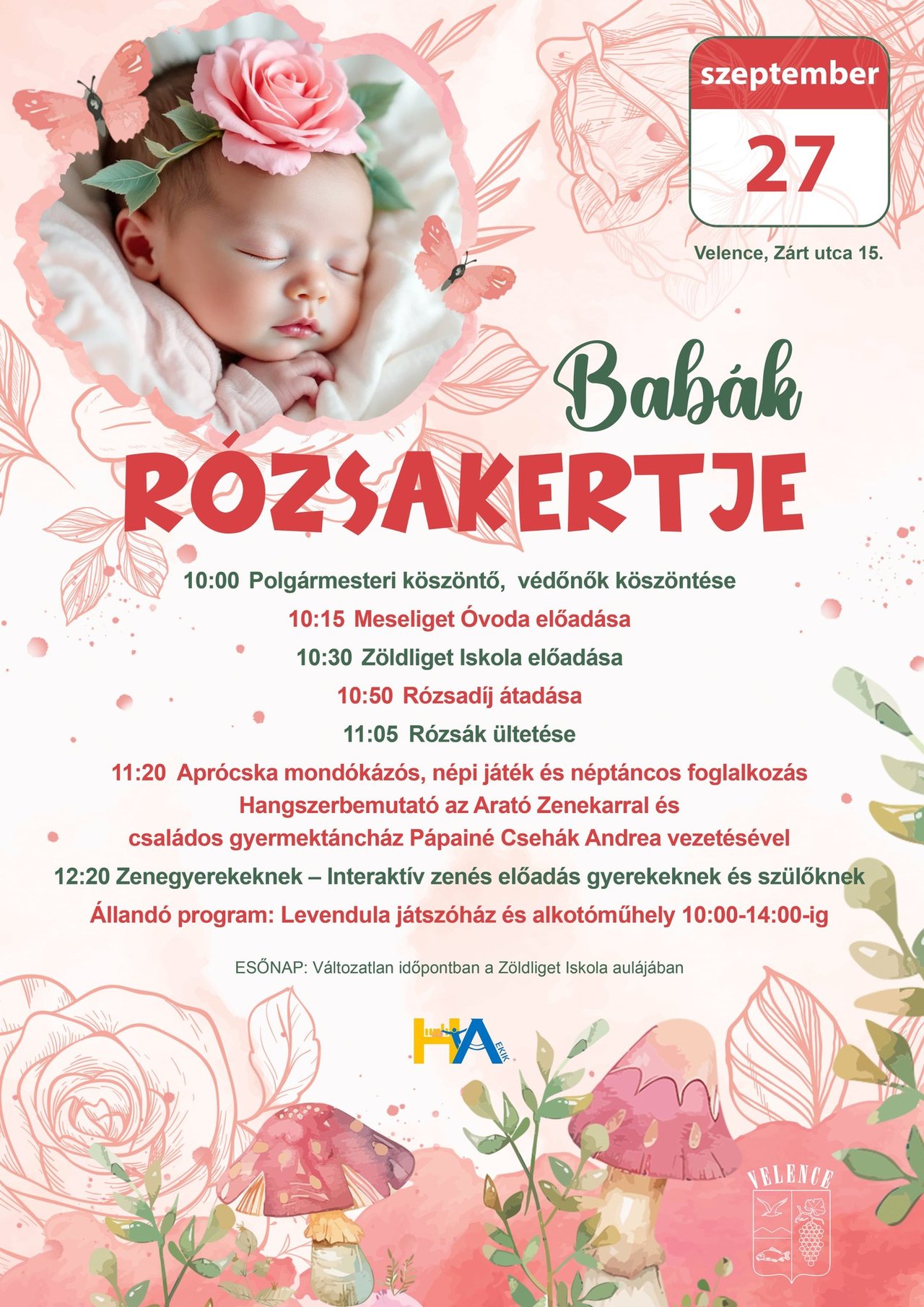 Babák Rózsakertje 2025