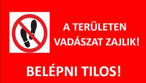 Tartalom borítóképe