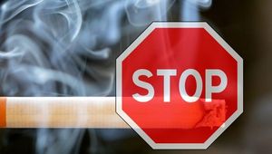 Tartalom borítóképe