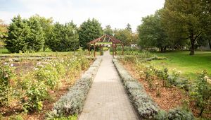 Tartalom borítóképe