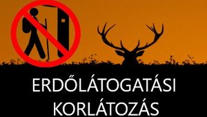 Tartalom borítóképe