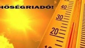 Tartalom borítóképe