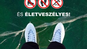 Tartalom borítóképe