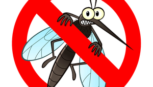 Tartalom borítóképe