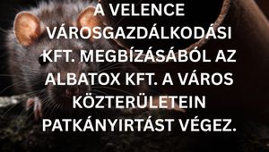 Tartalom borítóképe