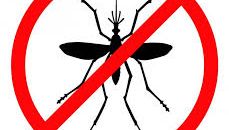 Tartalom borítóképe