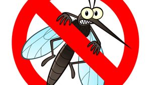 Tartalom borítóképe