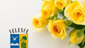 Tartalom borítóképe