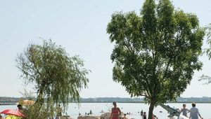 Tartalom borítóképe